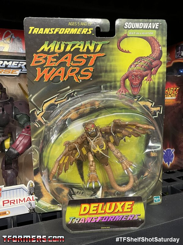 Transformers Mutant Beast Wars  (2 of 15)
